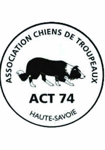 choix d'orientation scolaire